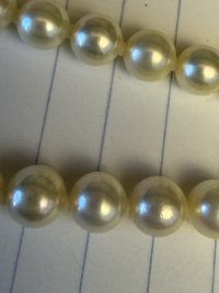 IMG_8457.jpeg