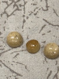 IMG_9646.jpeg