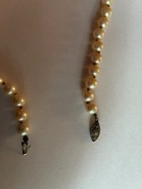 IMG_3743.jpeg