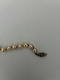 IMG_3748.jpeg