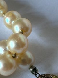 IMG_3765.jpeg