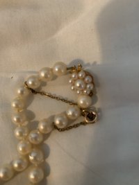 IMG_2701.jpeg