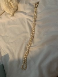 IMG_2702.jpeg