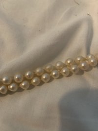 IMG_2703.jpeg