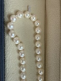 IMG_0288.jpeg