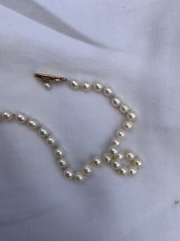 IMG_1453.jpeg