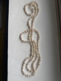 IMG_8523.jpeg