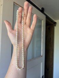IMG_6237.jpeg