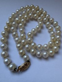 IMG_6241.jpeg