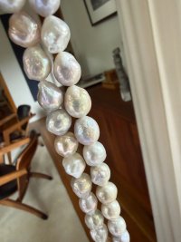IMG_8563.jpeg