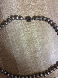IMG_2063.jpeg