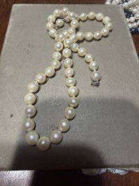 IMG_8183.jpeg