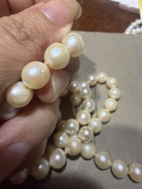 IMG_8184.jpeg