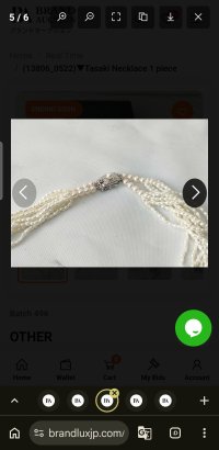 Screenshot_20261012_130943_Chrome.jpg