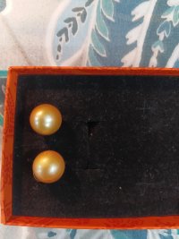 20261013_193835.jpg