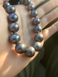 IMG_5184.jpeg