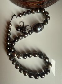 IMG_8738.jpeg