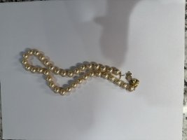 IMG_5627.jpeg
