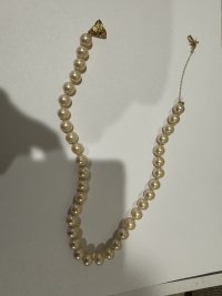 IMG_5621.jpeg