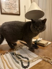 IMG_8771.jpeg