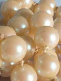 IMG20261024110327~2.jpg