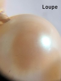 IMG20261024110624~3.jpg