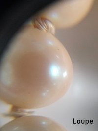 IMG20261024102808~3.jpg
