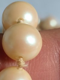IMG20261024112539.jpg