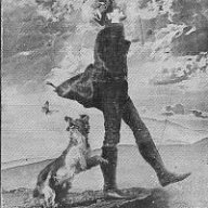 Curiously_Indifferent