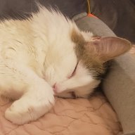 WannaBeAPearl