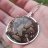 Silverpaperplate
