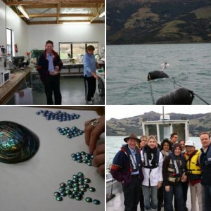 GIA Alumni - New Zealand