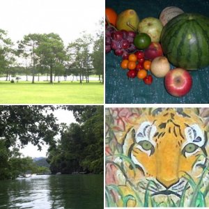 Paintings, Landscapes, and Still Life