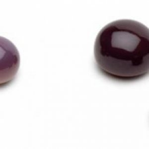 Quahog Pearls