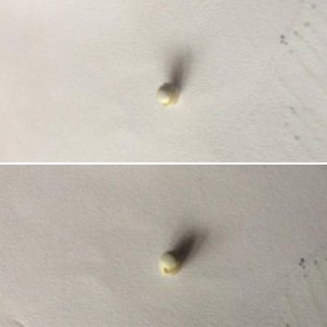 Pearls