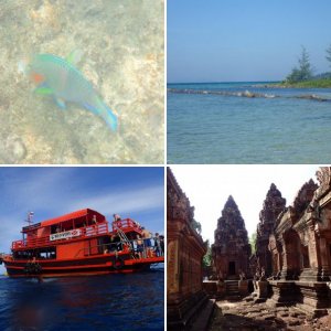 My trip