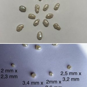 West Africa wild Pearls