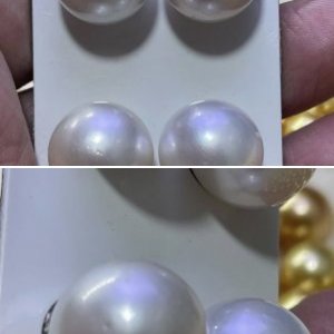 Are these real SSP?