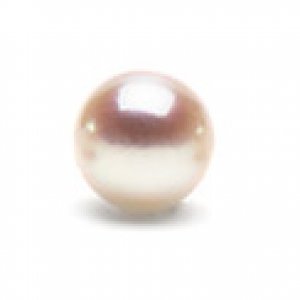 AkoyaPearls Silver Rose Ivory