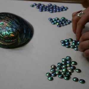 Grading and sorting abalone mabe pearls.
