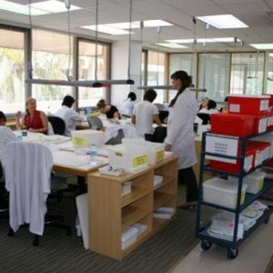 Preparing South Sea pearls for auction at Paspaley's sorting facility.