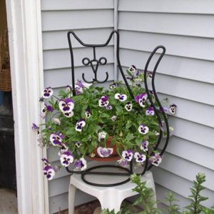 catpansy2