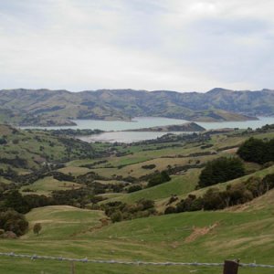 akaroa