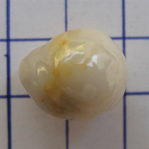 The Natural Pearls of Cassis Cornuta in 3cts