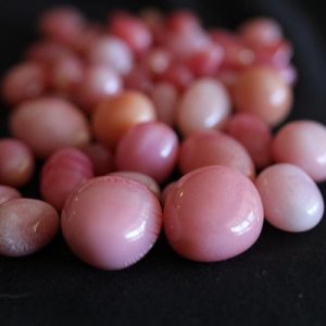 Selection of fine Conch Pearls