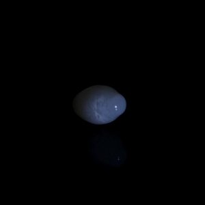 IMG 0404