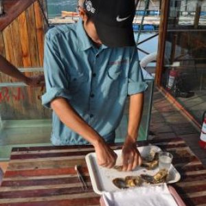 Media 'harvesting a pearl' in album 'Vietnamese pearl farm in HaLong Bay'