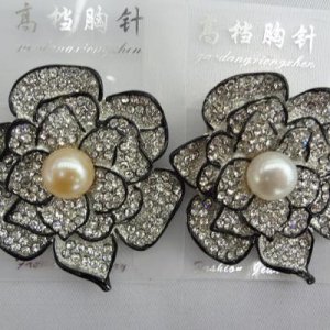 elegant ladies' brooch