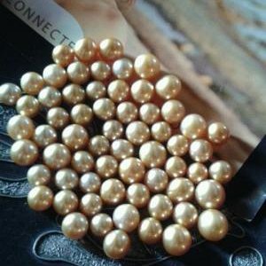 Our AAA Grade of Golden South Sea Pearls