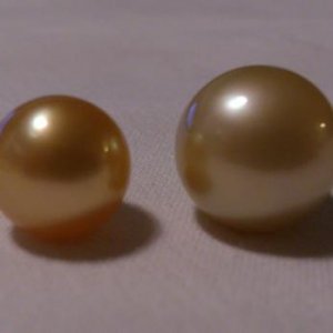 Media 'Gold' in album 'Sout Sea Pearls ( For Sale )'